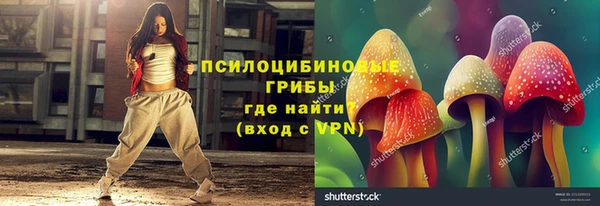 тгк Армянск