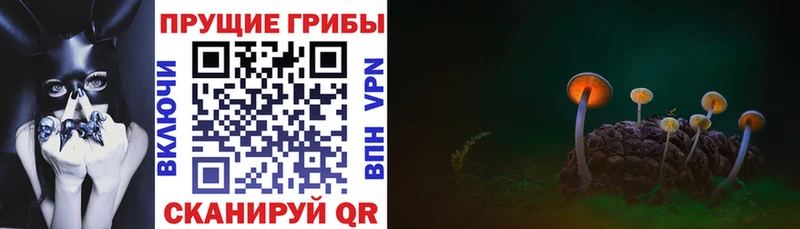 Псилоцибиновые грибы прущие грибы  Серов 